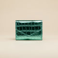 TerraVault Aqua Wallet
