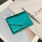 TerraVault Aqua Wallet