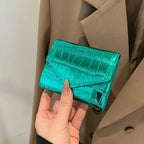 TerraVault Aqua Wallet