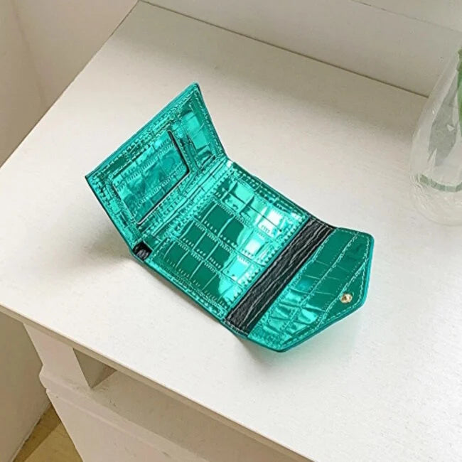 TerraVault Aqua Wallet